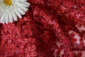 Ткань Прозрачная
 Сетка Валентино цвет красный